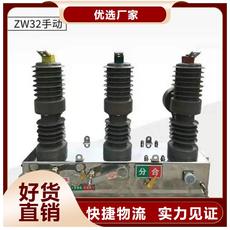 柱上断路器ZW32-12G/T630-25KA