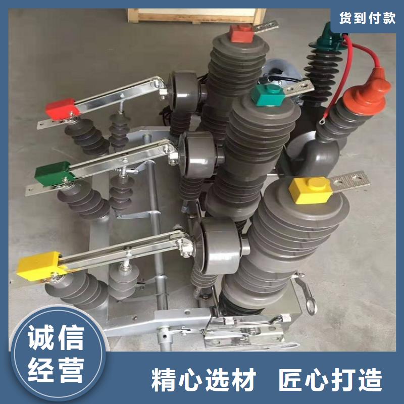 【断路器】真空断路器ZW32-12GF/T630-20