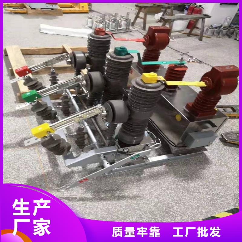 【真空断路器】ZW32-12GF/630-25KA
