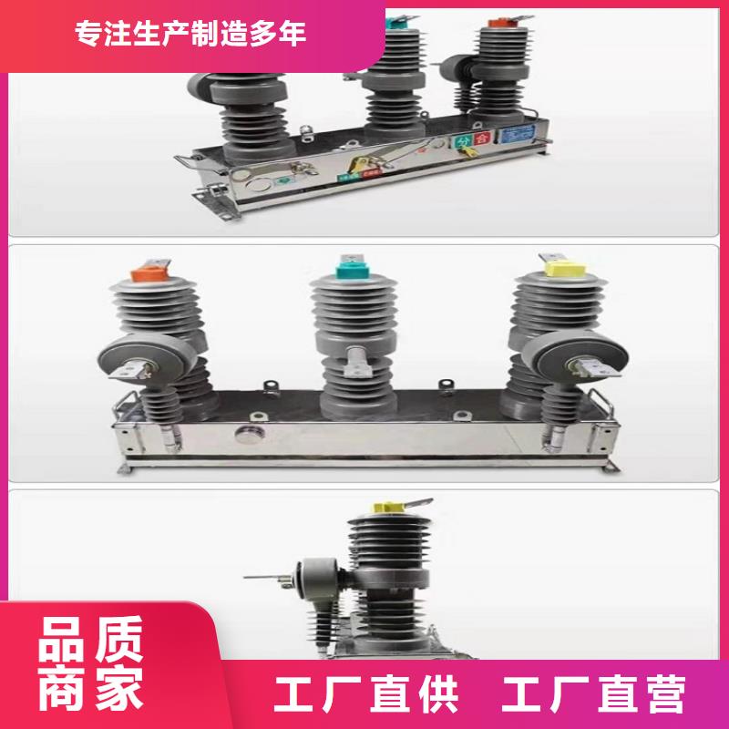 【真空断路器】永磁真空断路器ZW32-12GM/630