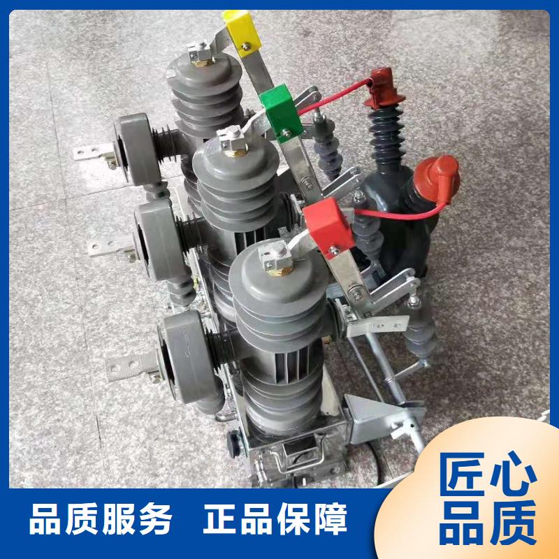 【真空断路器】ZW32-12GF/630-25KA