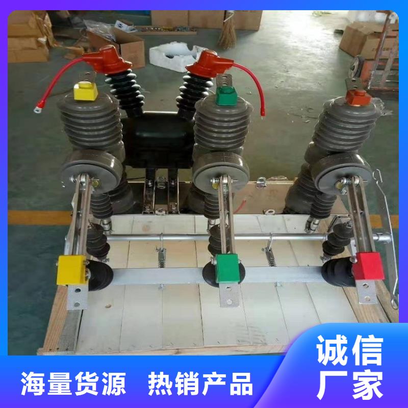 【真空断路器】真空断路器ZW32-12DG/630-20