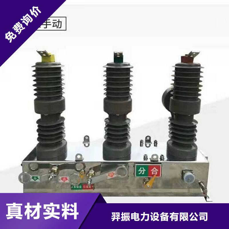 【柱上断路器】ZW32-24F/T1250-20