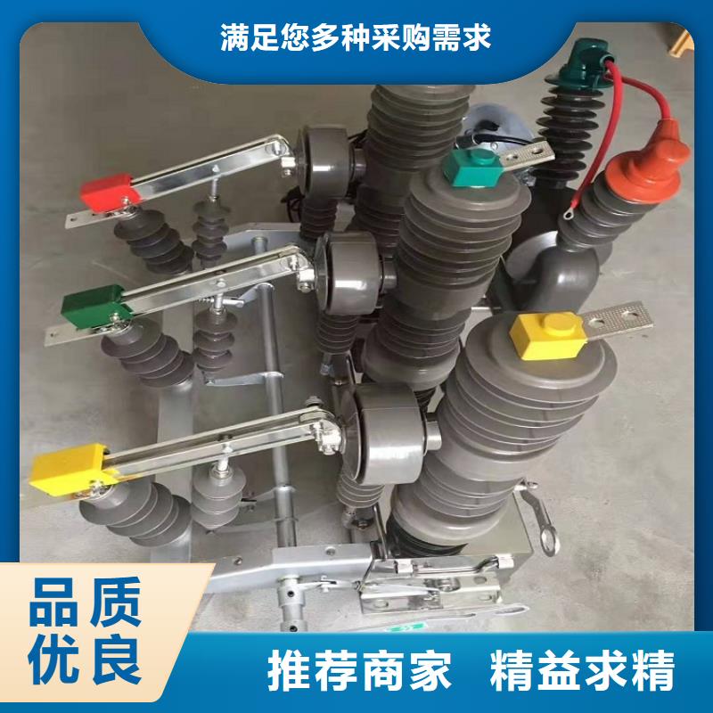柱上断路器ZW32-12G/T630-25KA