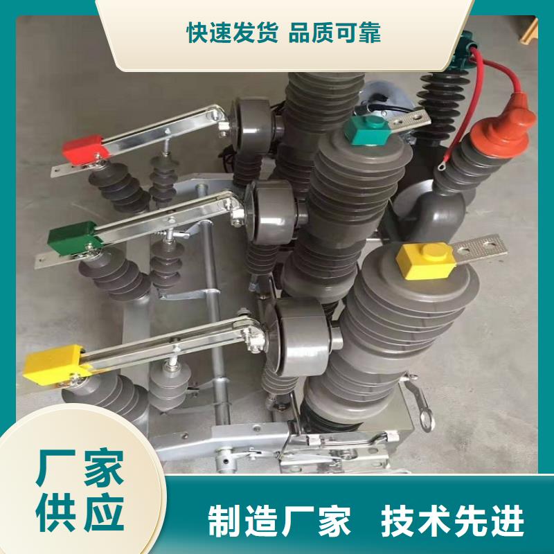 【真空断路器】真空断路器ZW32-12DG/630-20