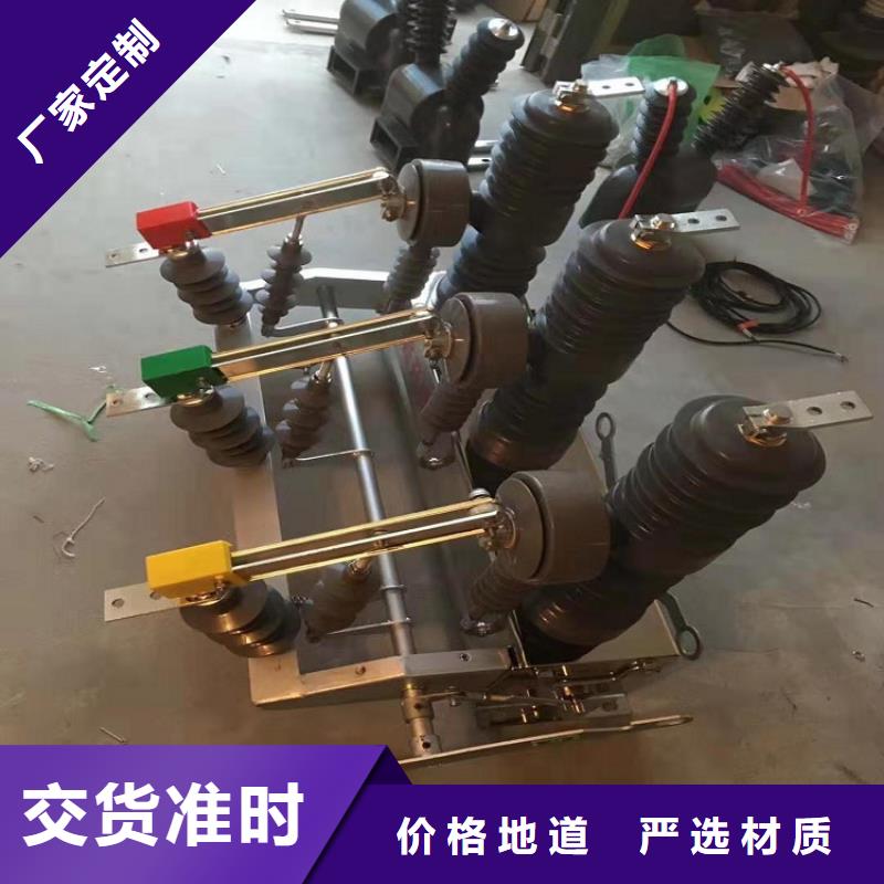 【真空断路器】ZW32-24F/T1250-20
