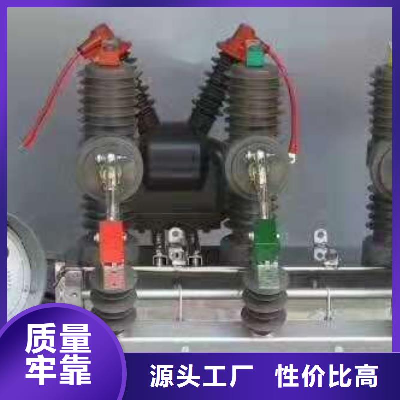 品牌【羿振电力】ZW32-12/630智能分界真空断路器