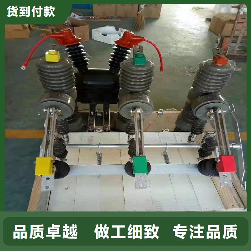 【真空断路器】ZW32F-24/1250A-25KA