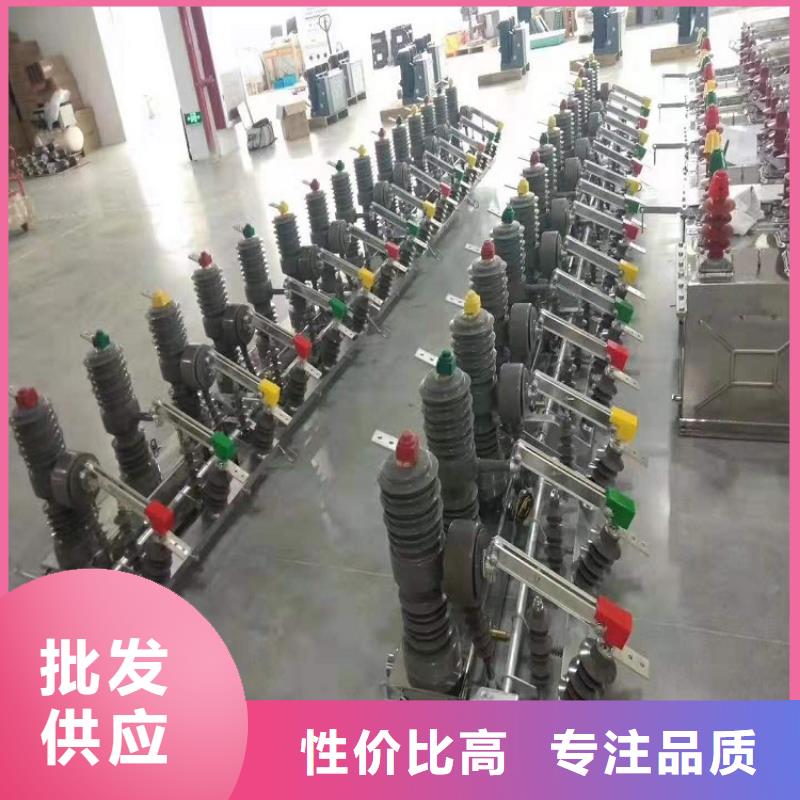 【断路器】真空断路器ZW32-12GF/T630-20
