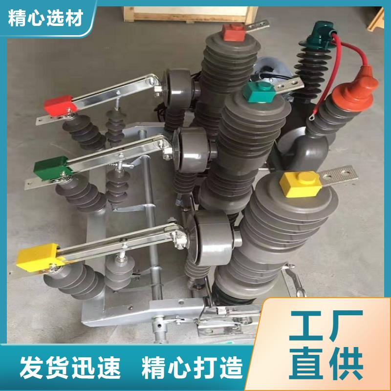 【断路器】真空断路器ZW32-12GF/T630-20