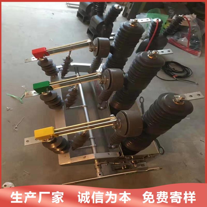 【真空断路器】永磁真空断路器ZW32-12/M630A