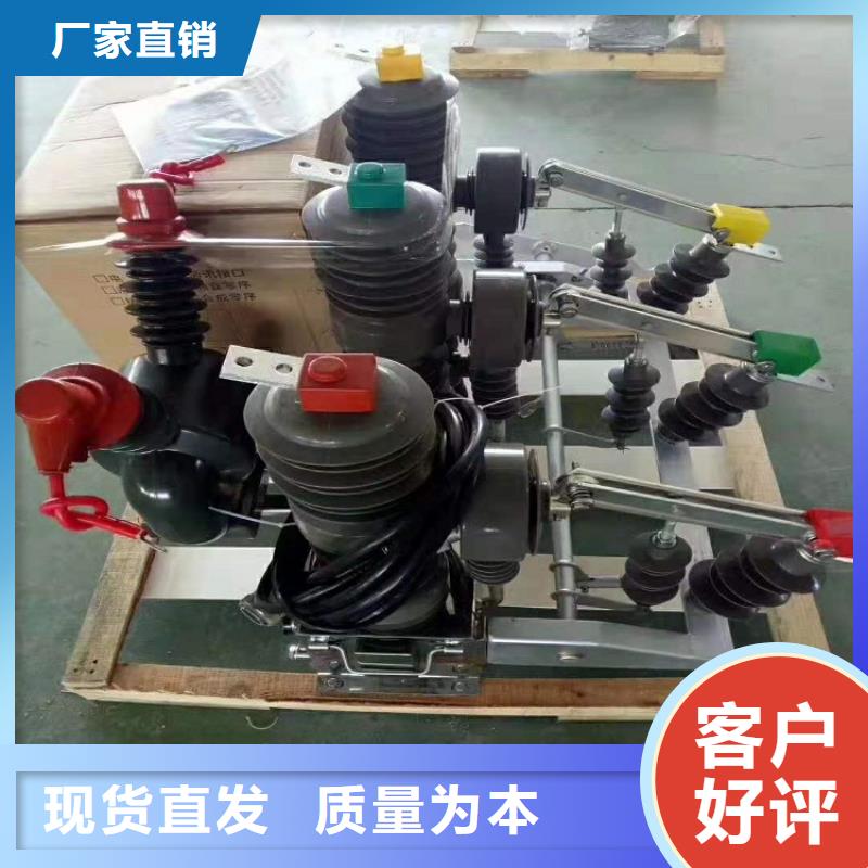 永磁真空断路器ZW32-12/M放心购买
