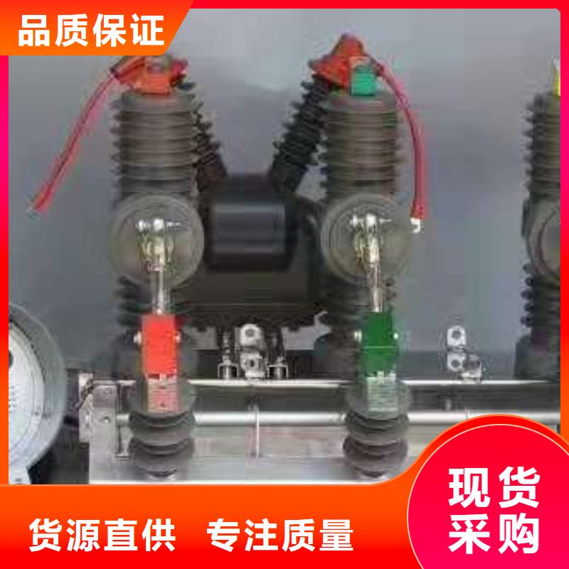 品牌【羿振电力】ZW32-12/630智能分界真空断路器