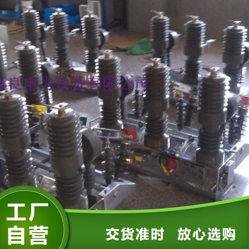 【羿振电力设备】ZW32F-12G/630