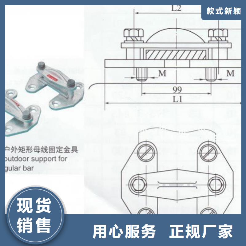 铜母线夹具MNL-301.