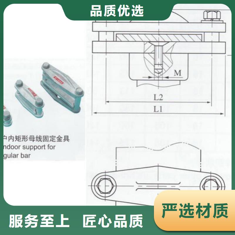 铜母线夹具MNL-301.