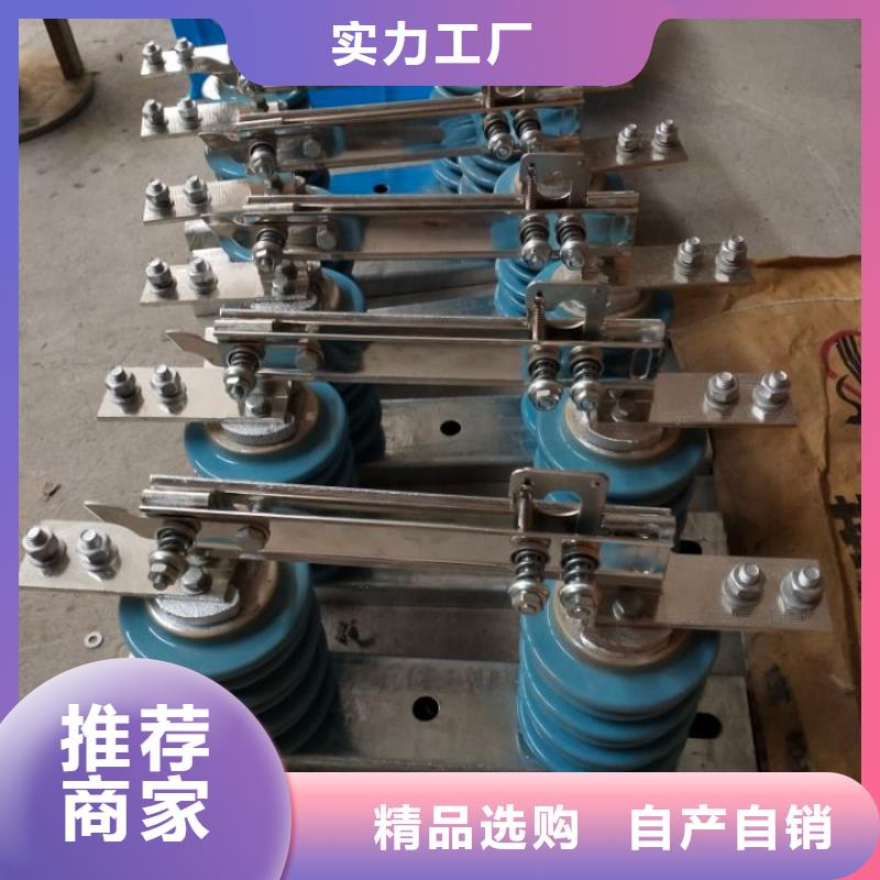 【隔离刀闸】HGW9-10KV/630