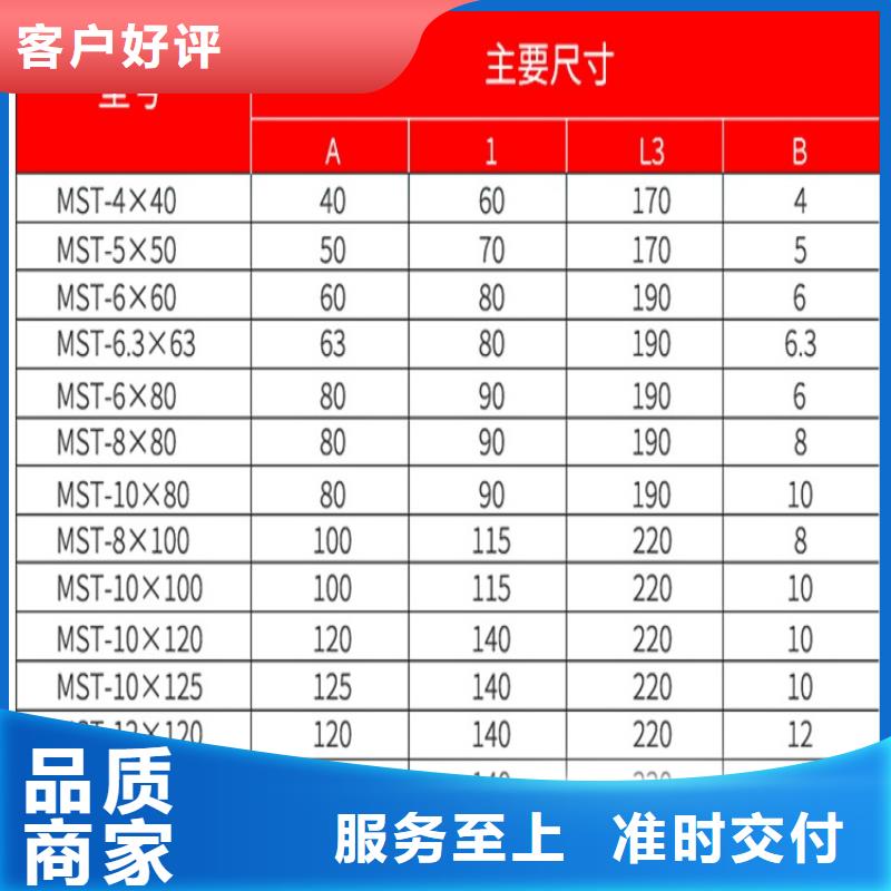 母线伸缩节10*80