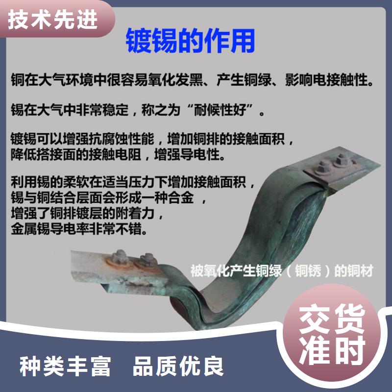 母线伸缩节10*80