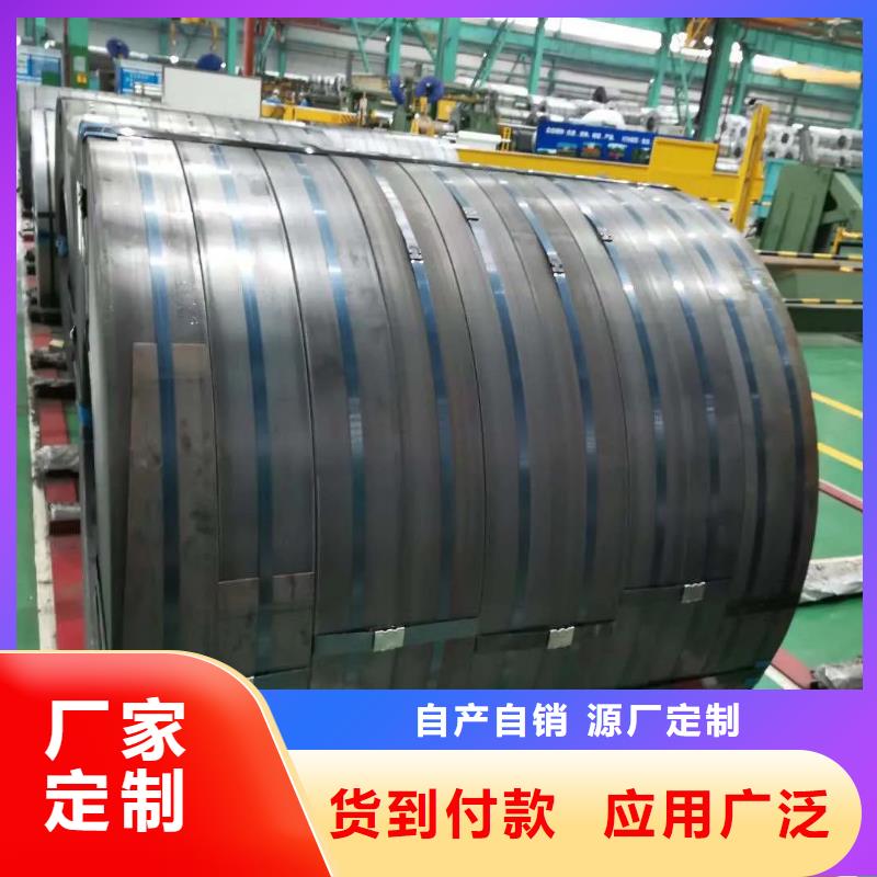 GT050	0.05*360*C	日本极薄硅钢带GT040