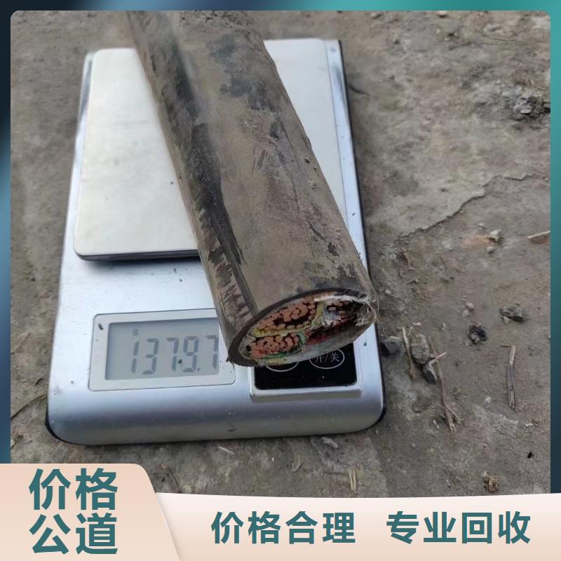 服务周到的铝芯线回收价格是多少公司