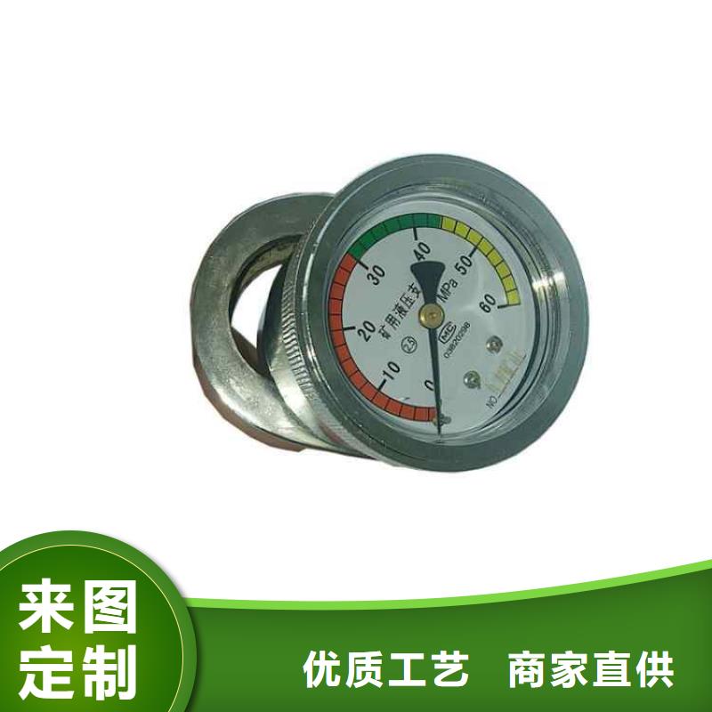 DZ-CL-2单体支柱测力计品质放心