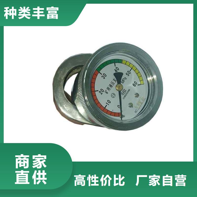 单体支柱测压仪顶板离层仪生产型