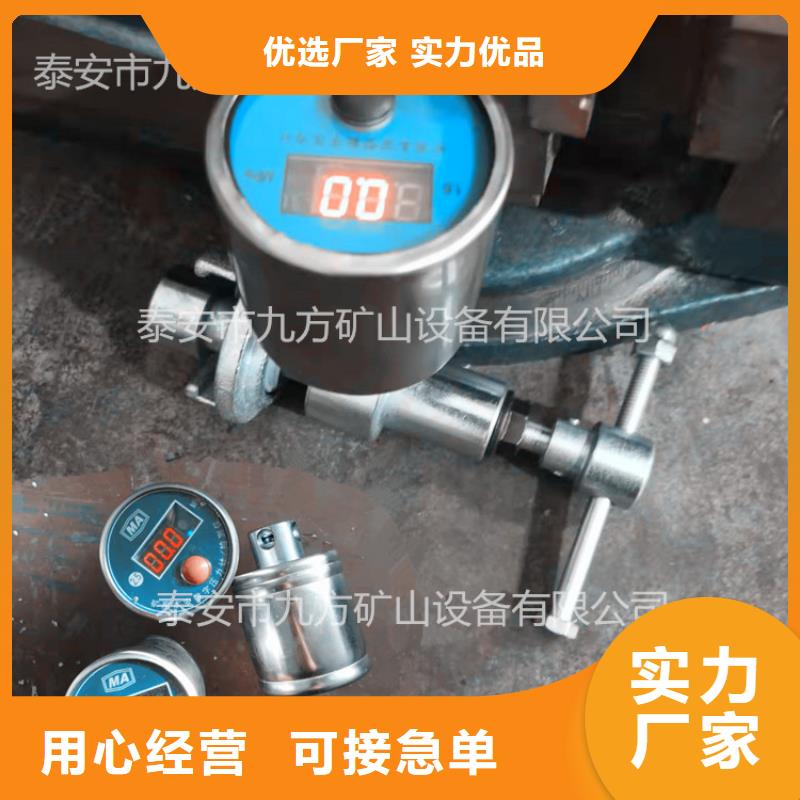 DZ-CL-2单体支柱测力计品质放心