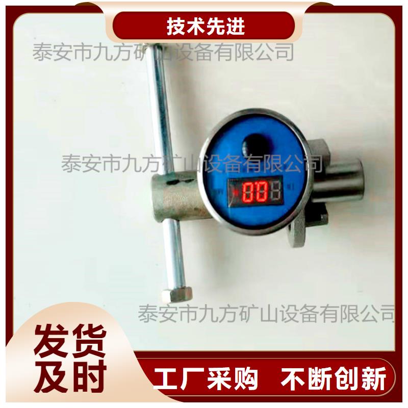 DZ-CL-2单体支柱测力计生产厂家