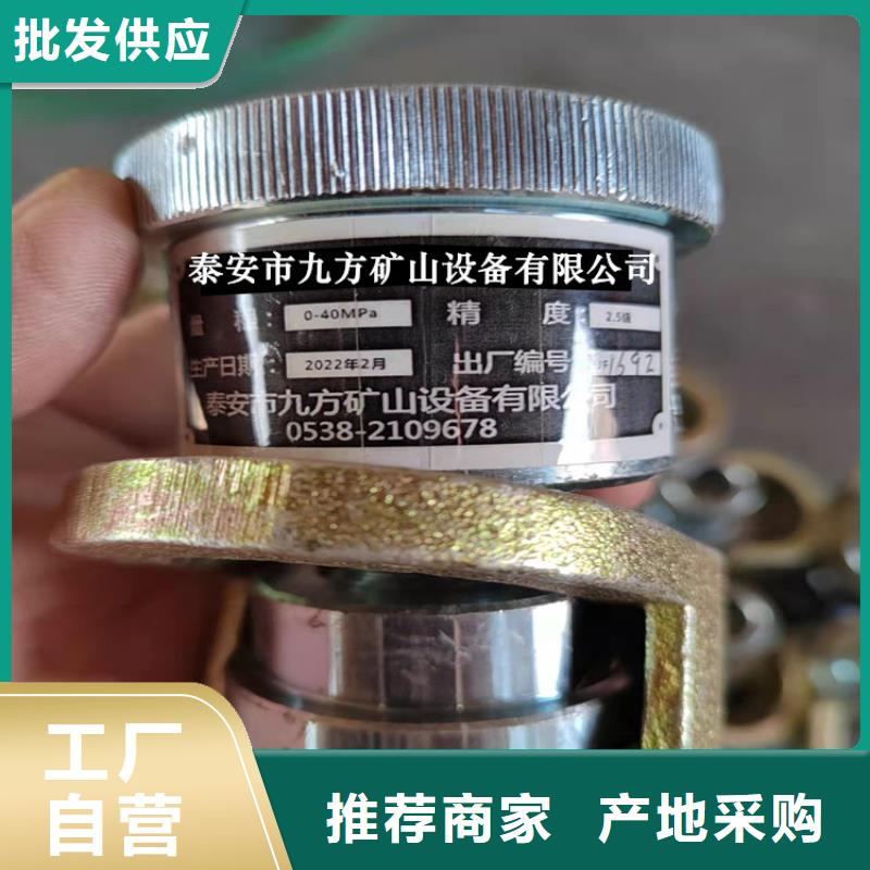 DZ-CL-2单体支柱测力计价格