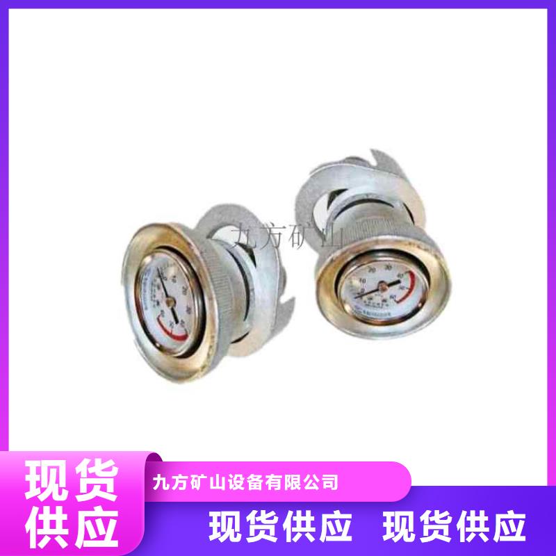 DZ-CL-2单体支柱测力计品质放心