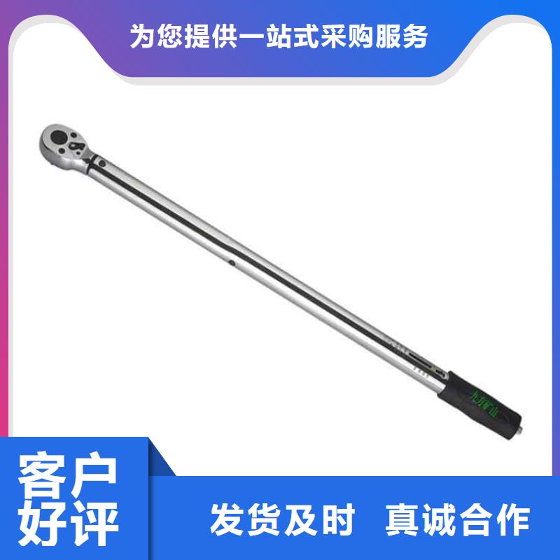 锚杆扭力扳手-锚杆测力计发货迅速