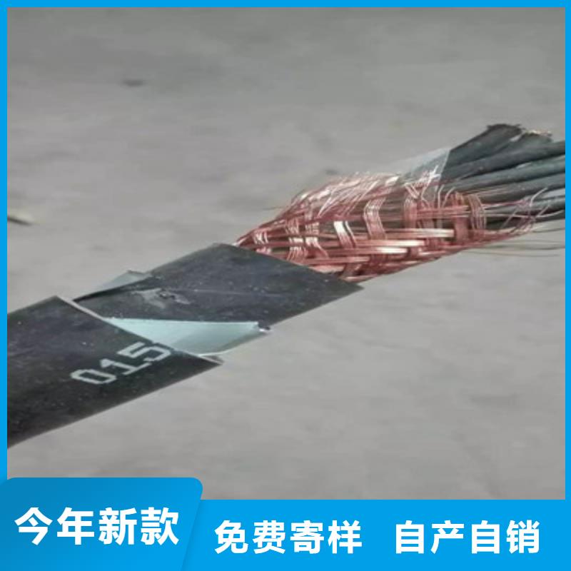 专业销售NH-VVNH-YJV耐火电力电缆	-全国配送