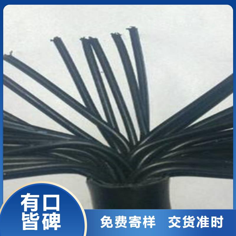 优质的铠装镀锡通讯电缆-实体厂家可定制