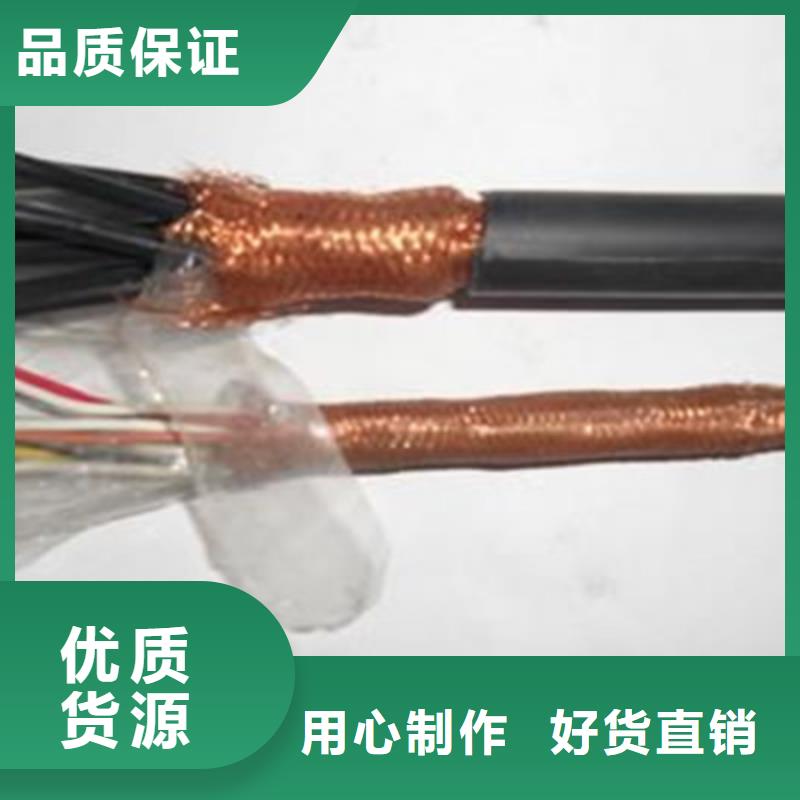 HYA25X2X0.5定制