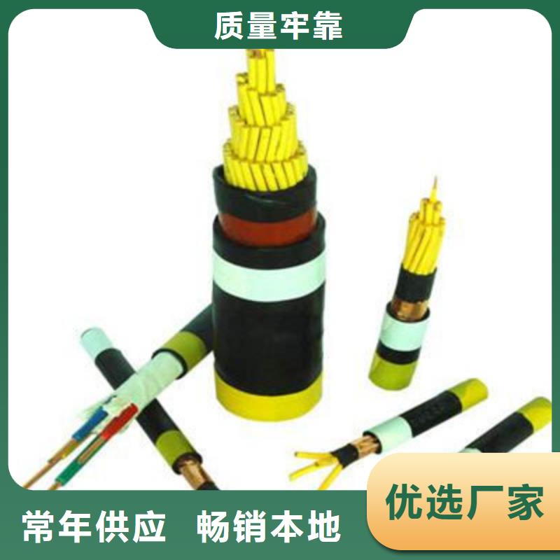 常年供应RVV10X2.5软芯电源线电缆直销厂家