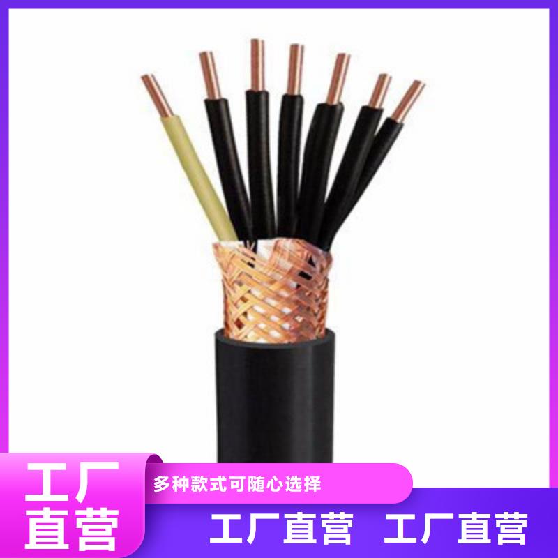 2X2X1.0阻燃带铠计算机电缆厂家实力雄厚