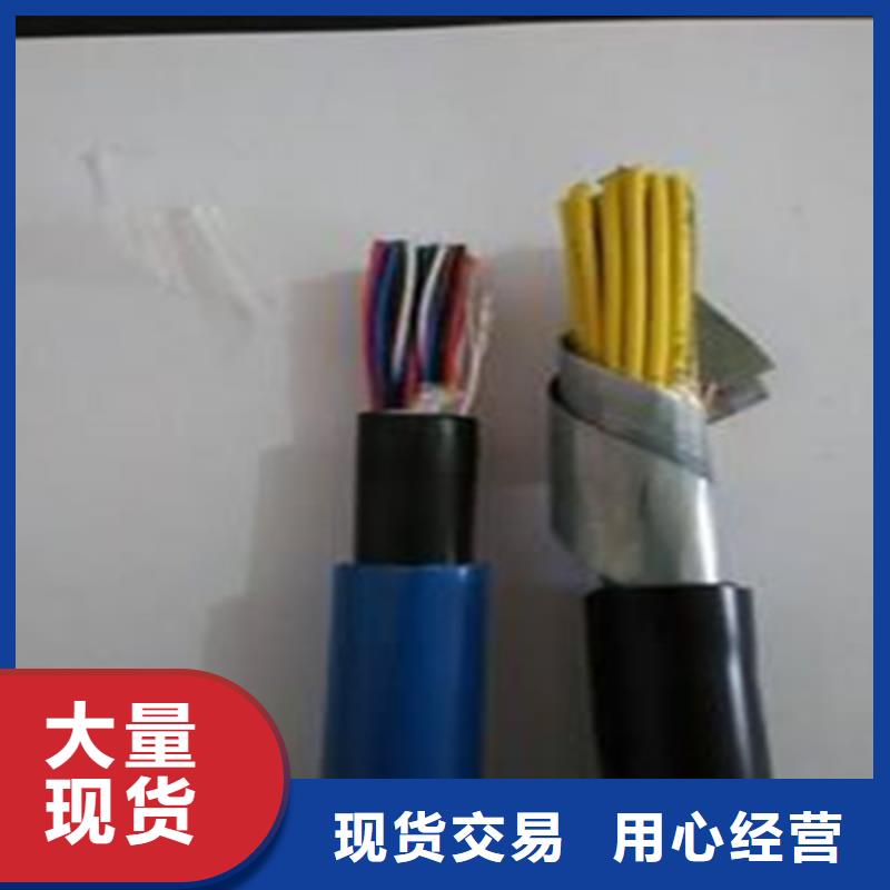 电话电缆HJVVP10X2X0.5现货现发
