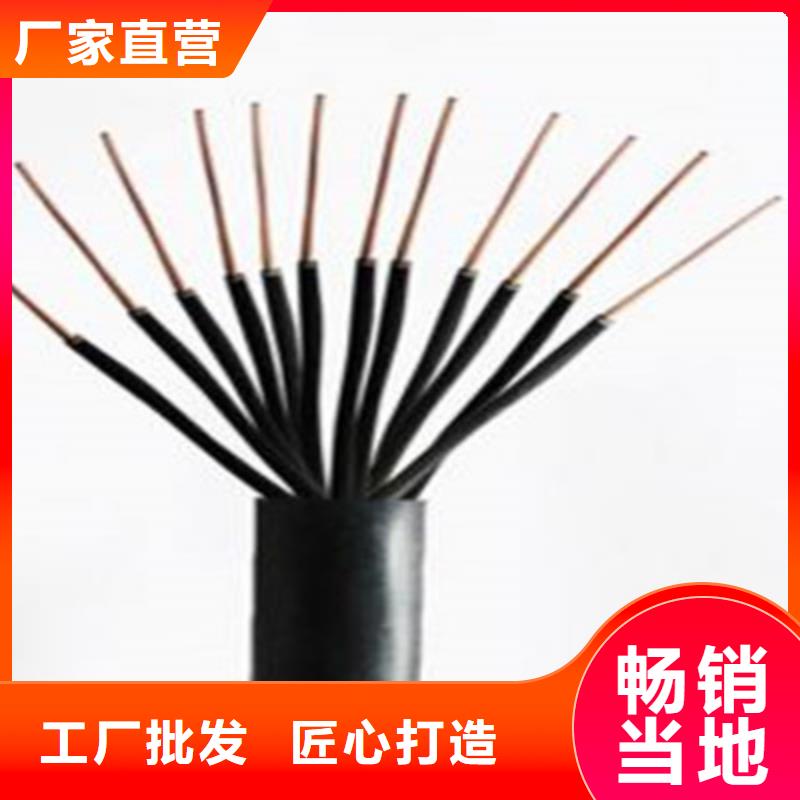 【特种电缆煤矿用阻燃通信电缆来电咨询】