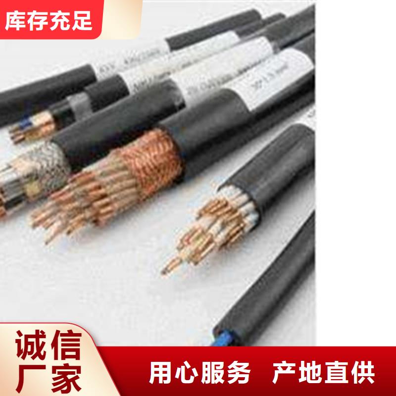 NH-DJYPVP22耐火铠装计算机电缆厂家	定做厂家
