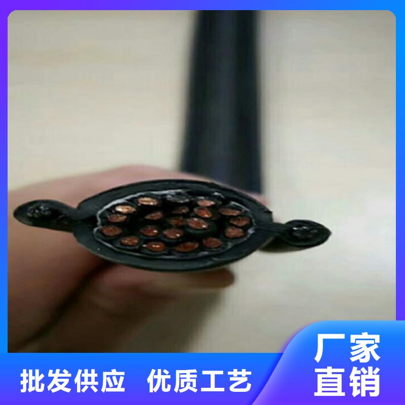 小对数通讯电缆TCXHDL5信赖