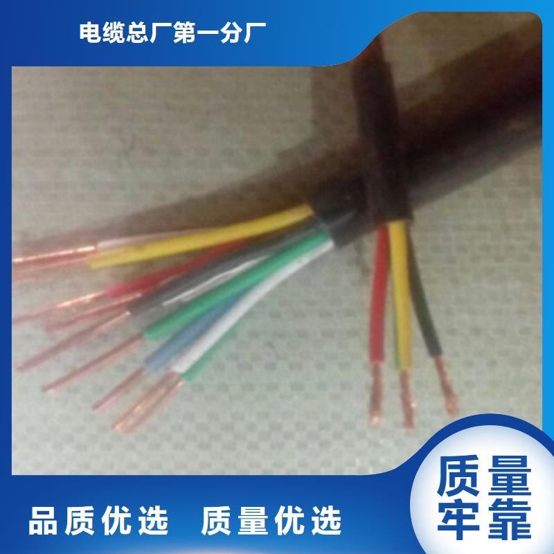 两芯电缆RVVSP1X2X1.0-用的放心
