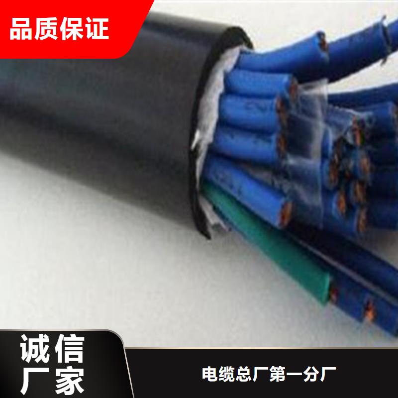 耐火控制电缆NH-BAVP3VP3市场行情