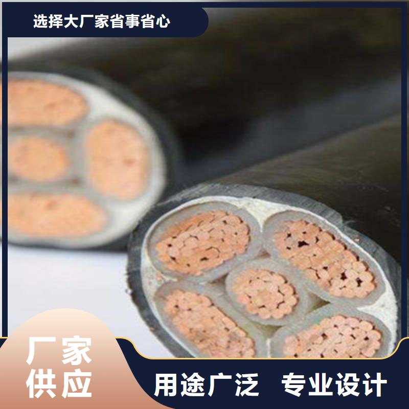 ZRANH-KYYPP2阻燃电缆供应厂家
