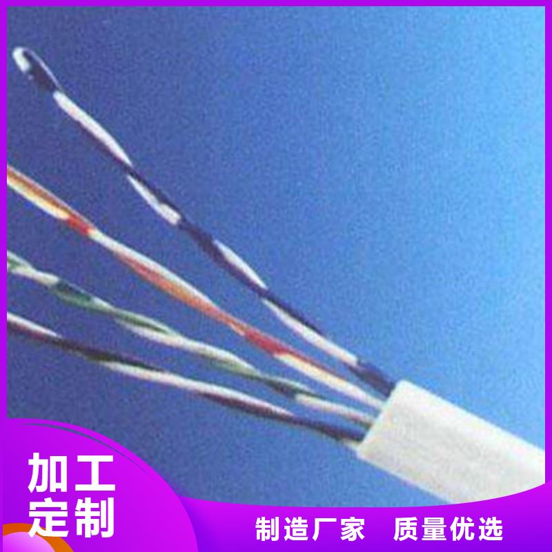 ZR-FB-HPVP阻燃通讯电缆制造厂家