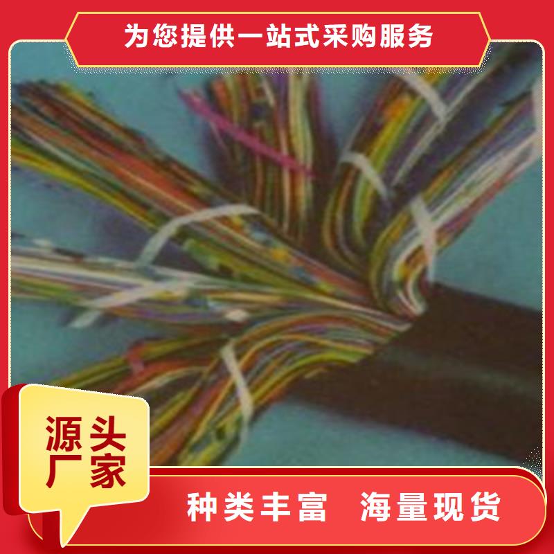 BVVSP软芯双绞电缆量大从优
