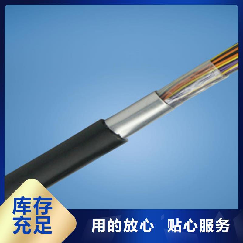 通讯电缆CO-IREV-SX12X1.0