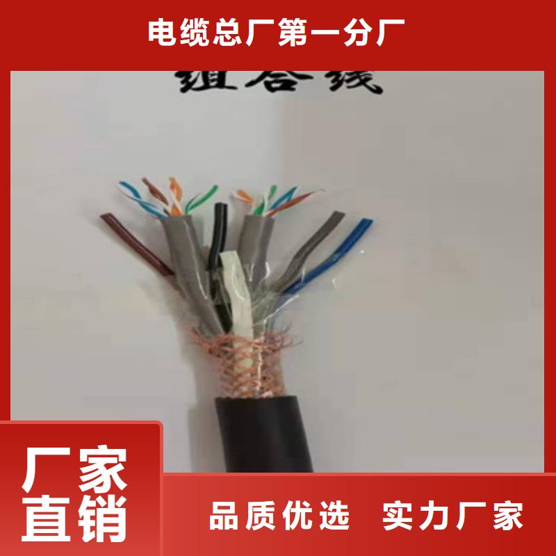 阻燃广播线ZR-HYPV种植基地
