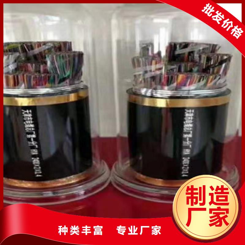 WDZBLSZHBUS低烟无卤绿电缆源头厂家