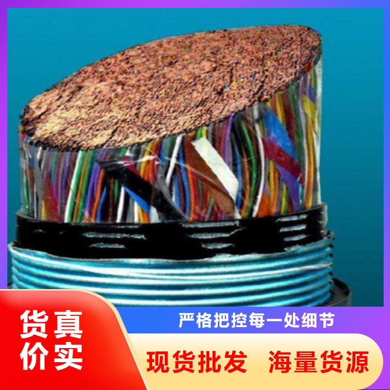 830-CA04通讯电缆10X0.5